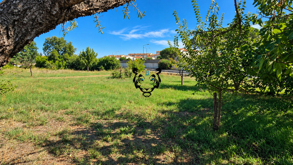 vente Terrain Puget Sur Argens - Photo 1