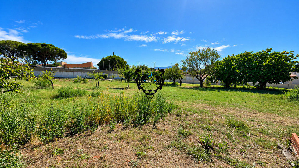 vente Terrain Puget Sur Argens - Photo 2
