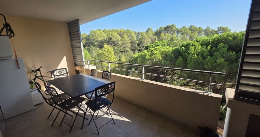 location Appartement Roquebrune Sur Argens