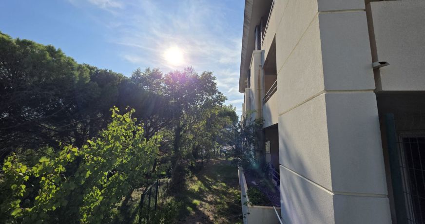 location Appartement Roquebrune Sur Argens