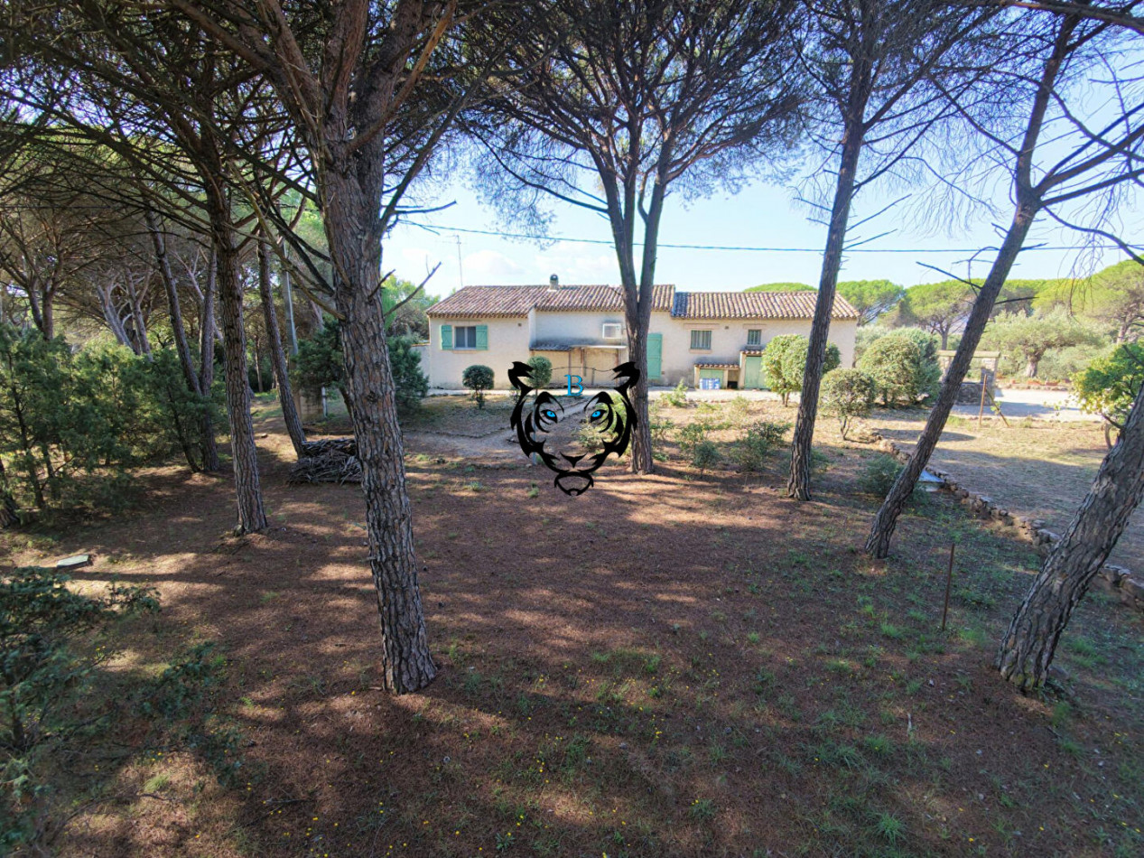 vente Maison Roquebrune Sur Argens - Photo 5