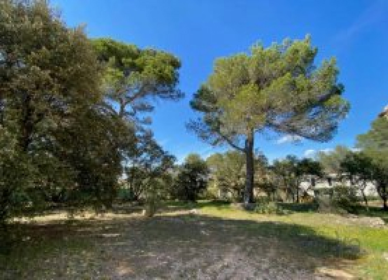 à vendre Terrain Lorgues - Photo 1