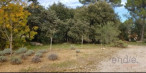 à vendre Terrain Lorgues