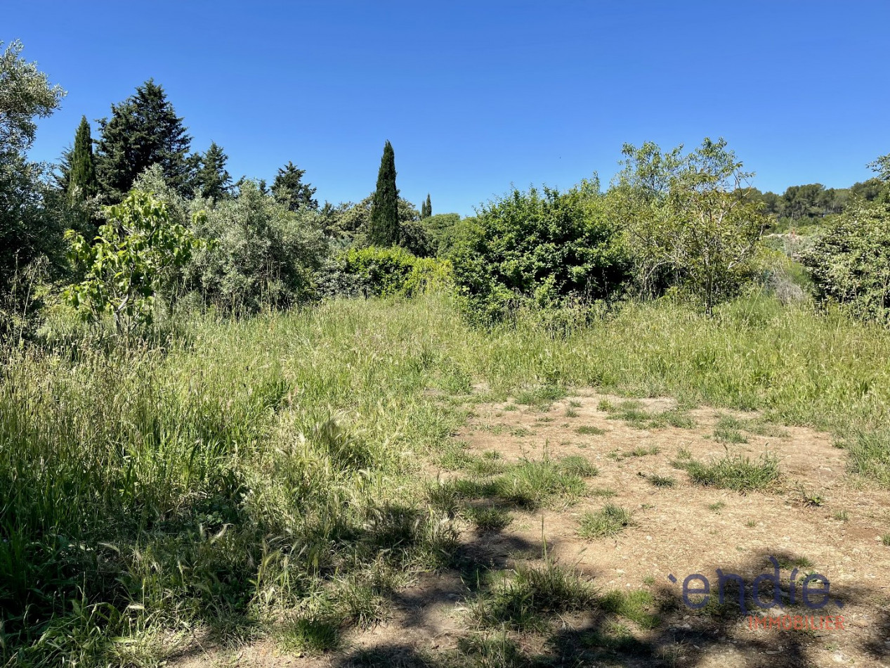 à vendre Maison Lorgues - Photo 20