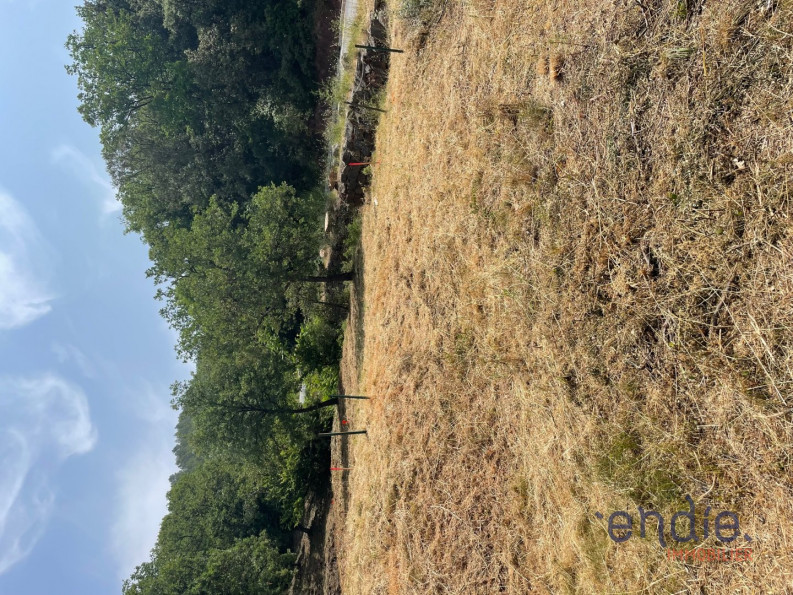 vente Terrain Taradeau - Photo 3