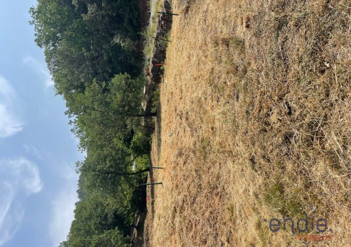 vente Terrain Taradeau