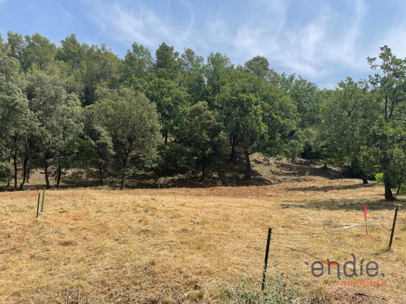 vente Terrain Taradeau - Photo 1