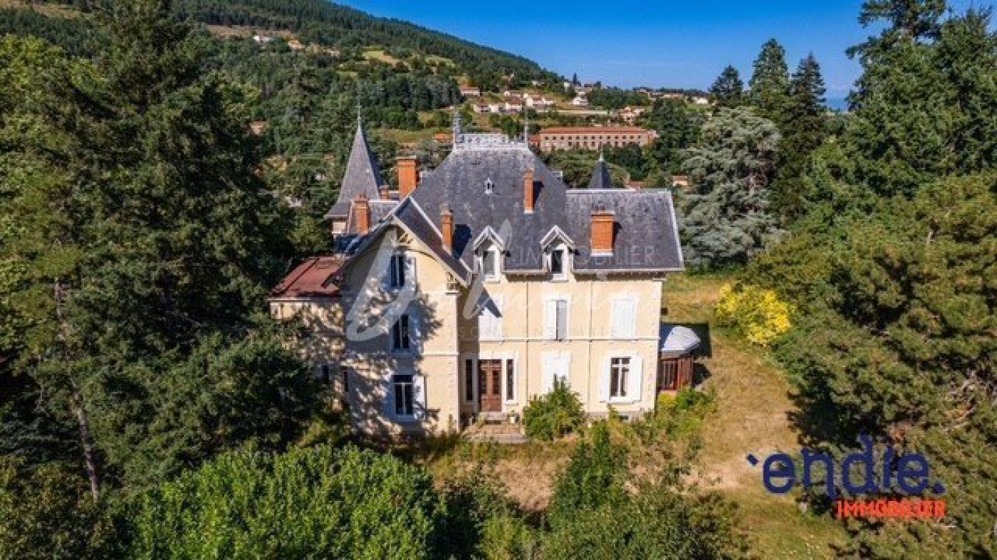 à vendre Château Saint Julien Molin Molette - Photo 1