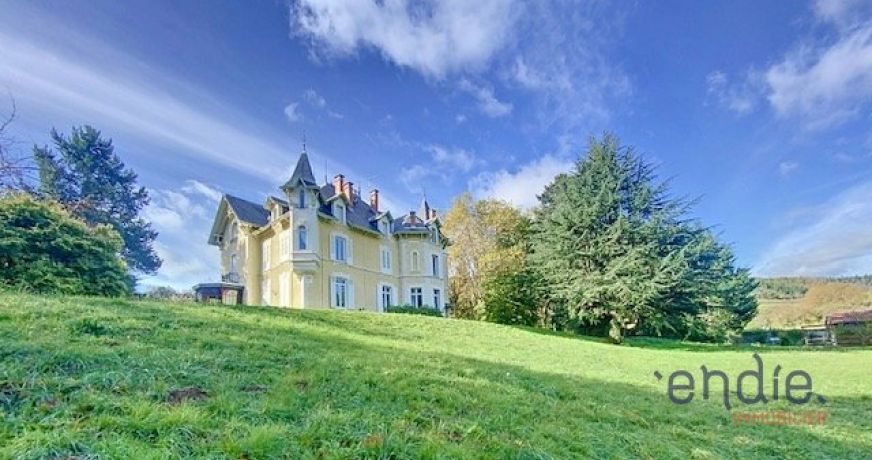 vente Château Saint Julien Molin Molette