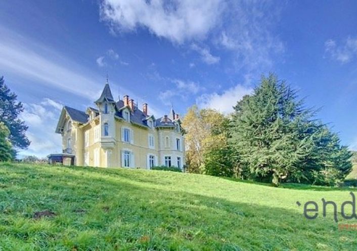 à vendre Château Saint Julien Molin Molette