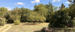 vente Maison Lorgues