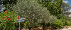 vente Maison Lorgues