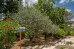 à vendre Maison Lorgues