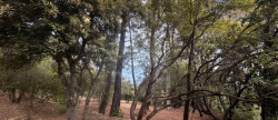vente Terrain constructible Lorgues