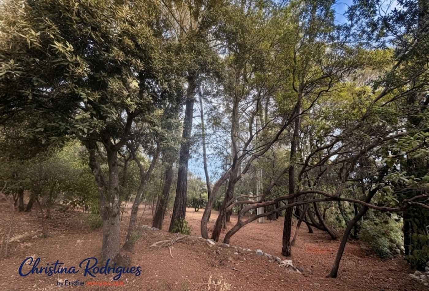 vente Terrain constructible Lorgues - Photo 2