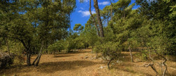 vente Terrain constructible Lorgues