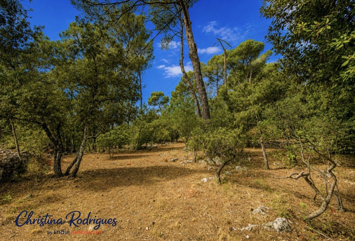 vente Terrain constructible Lorgues - Photo 3
