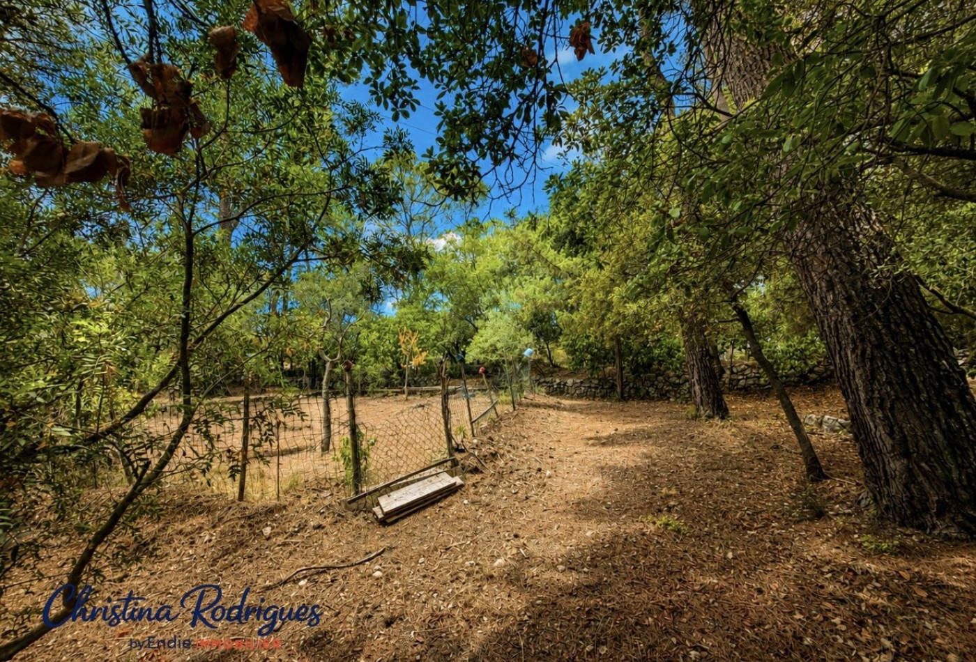 vente Terrain constructible Lorgues - Photo 4