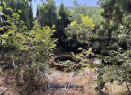 à vendre Maison Draguignan