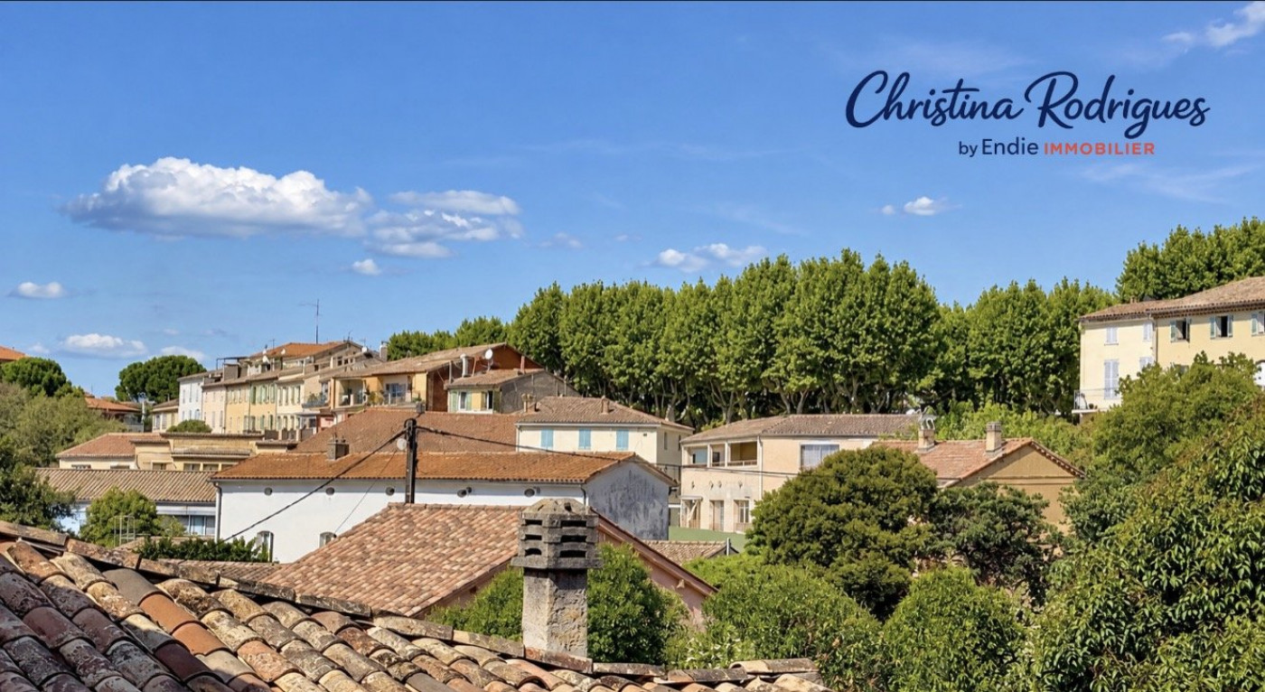 à vendre Appartement Lorgues - Photo 3