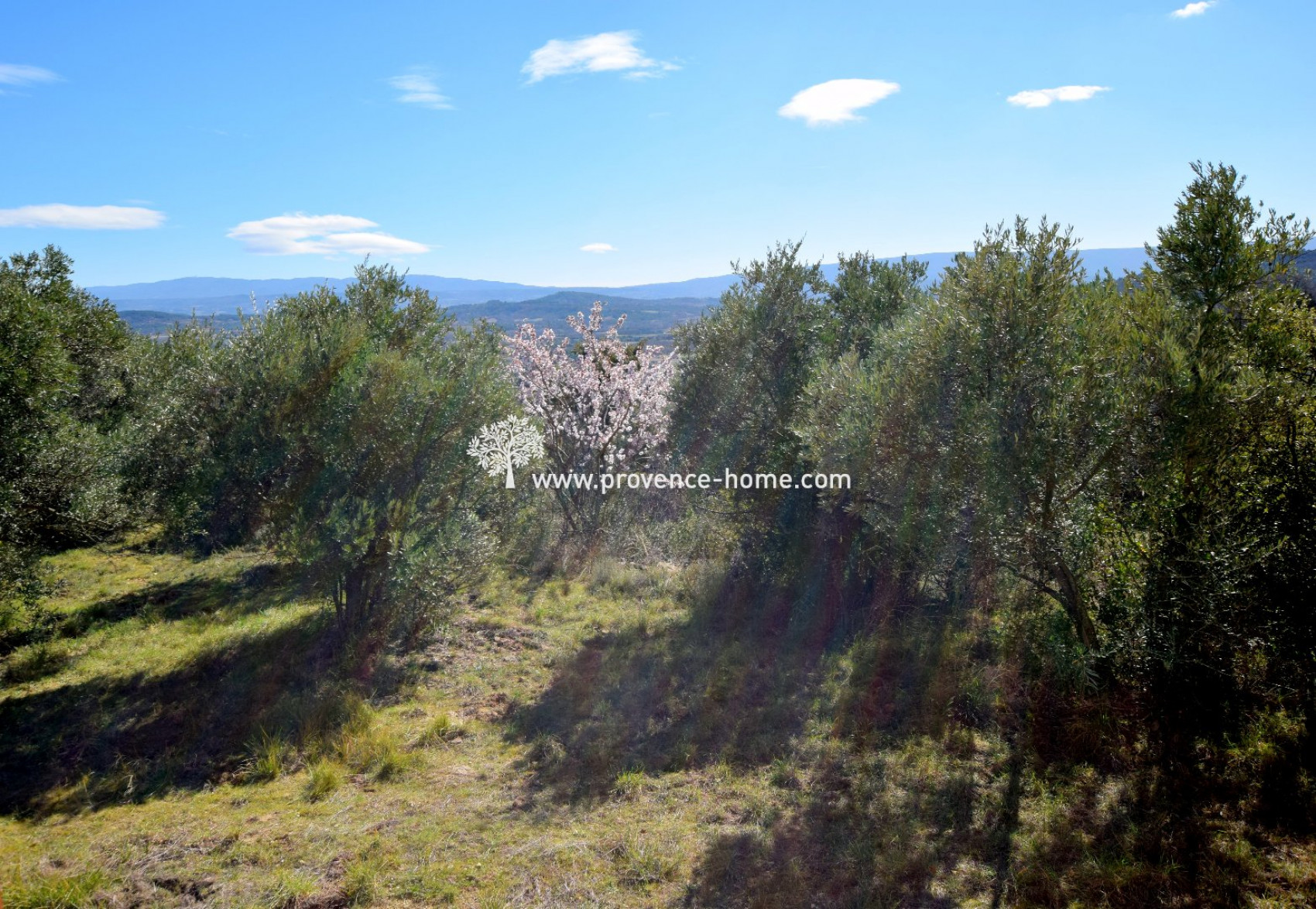 vente Maison en pierre Gordes - Photo 9