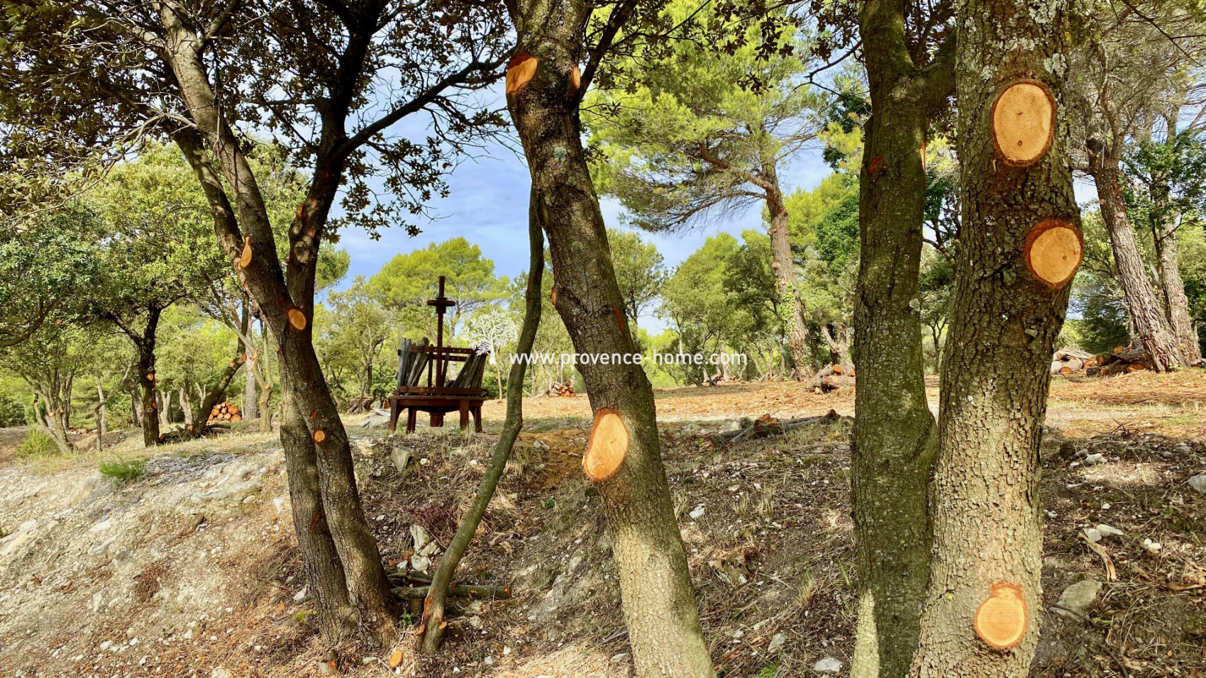 sale Maison en pierre Murs - Photo 19