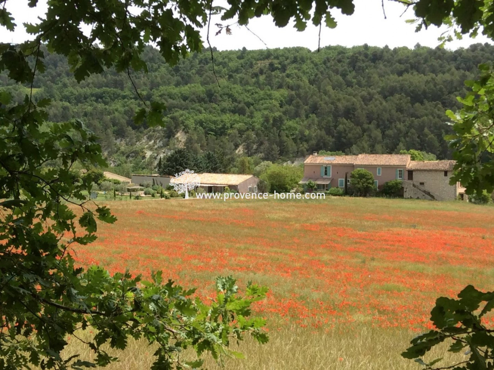 vente Propriété Apt - Photo 10