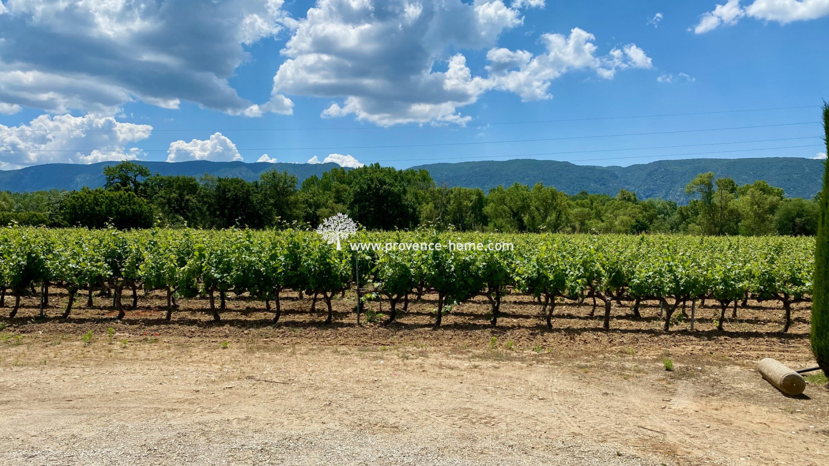 vente Mas Oppede - Photo 2