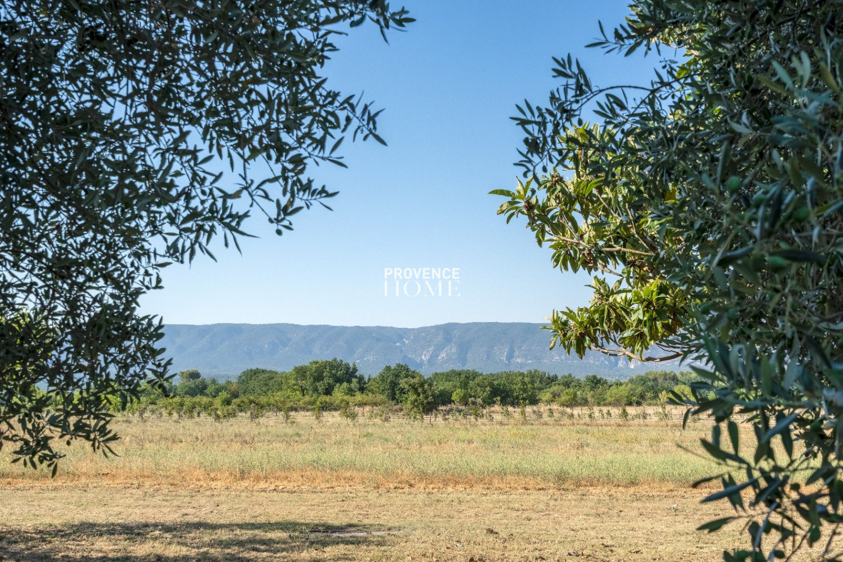 sale Mas Cabrieres D'avignon - Photo 2