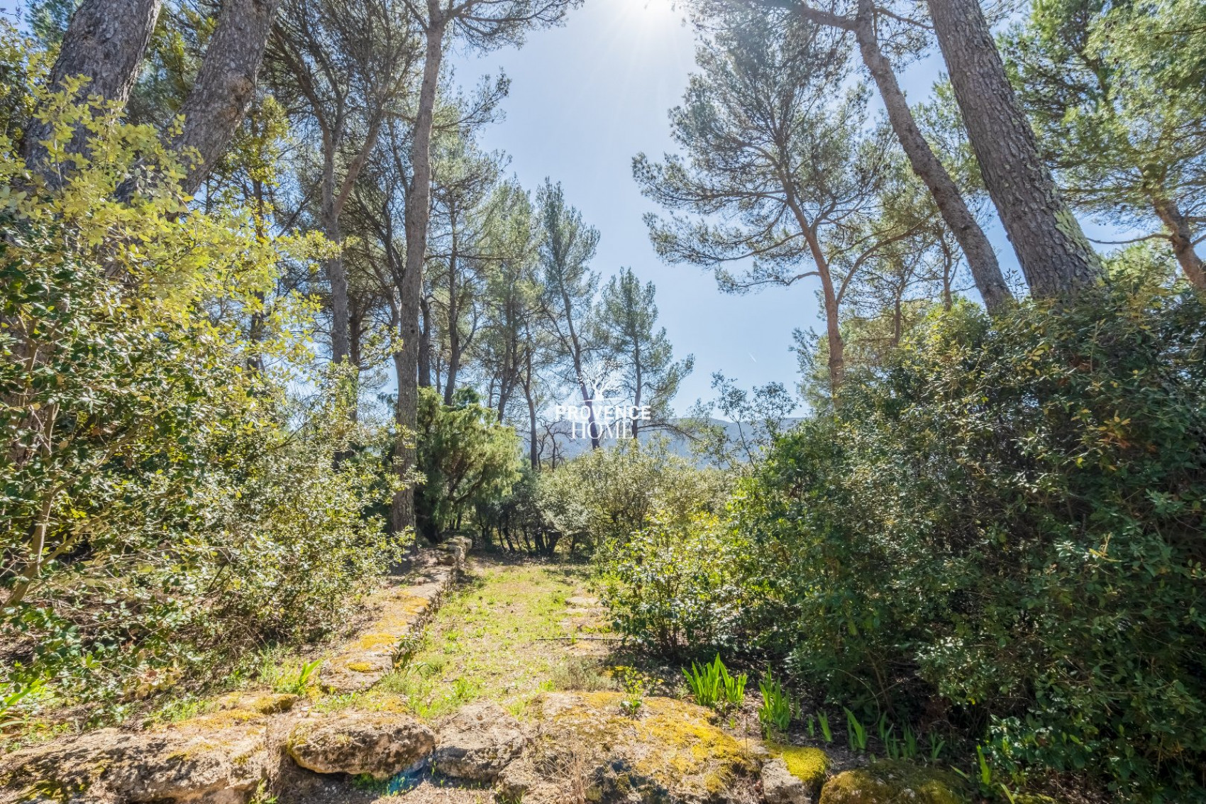 vente Maison Menerbes - Photo 3