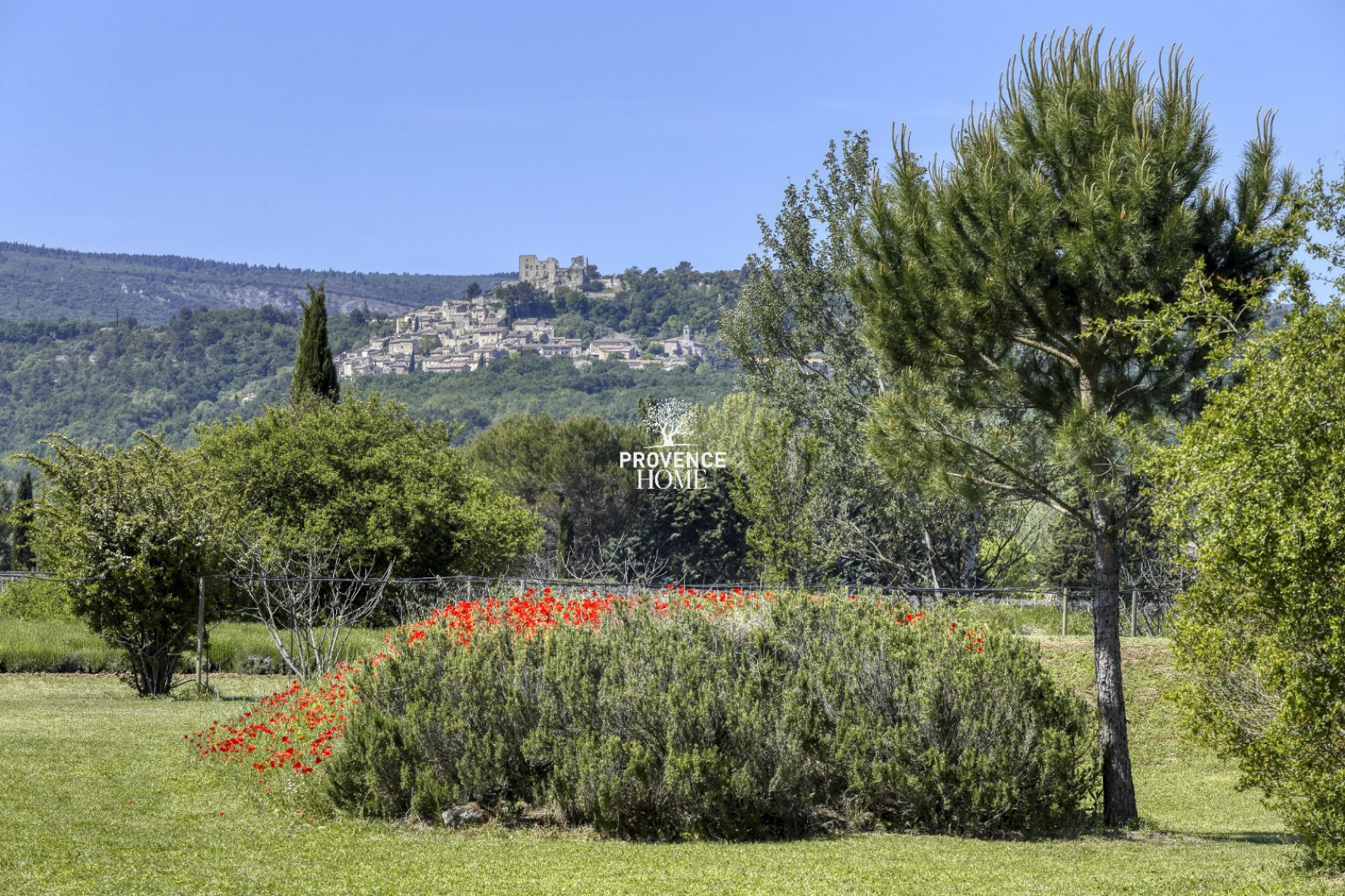 vente Propriété Bonnieux - Photo 9