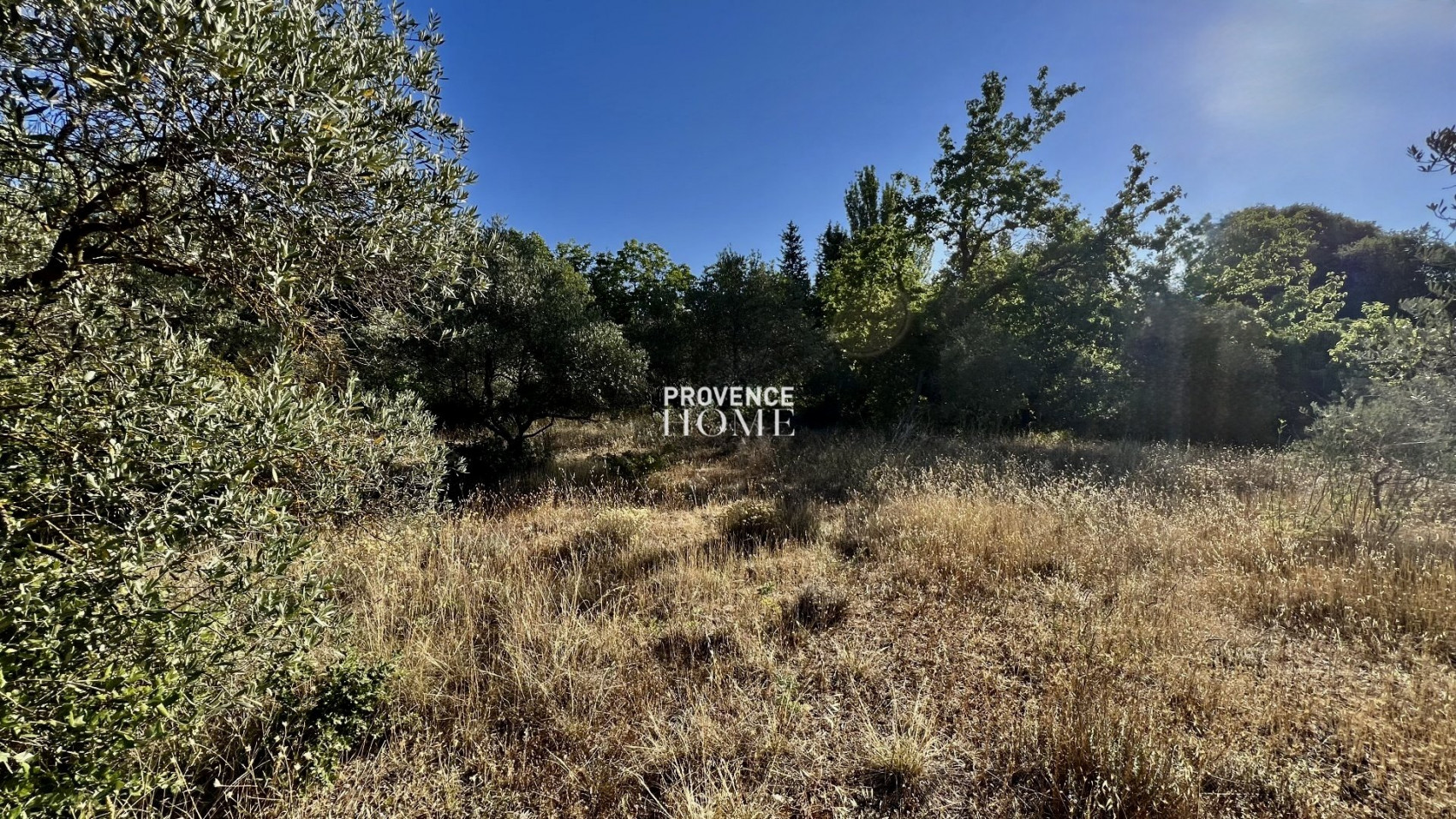 vente Terrain constructible Gordes - Photo 4