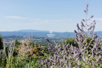 vente Propriété Bonnieux