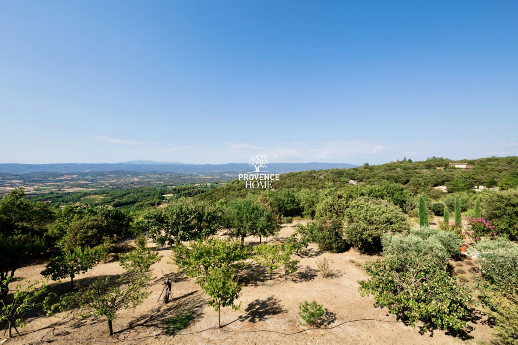 vente Propriété Bonnieux - Photo 16