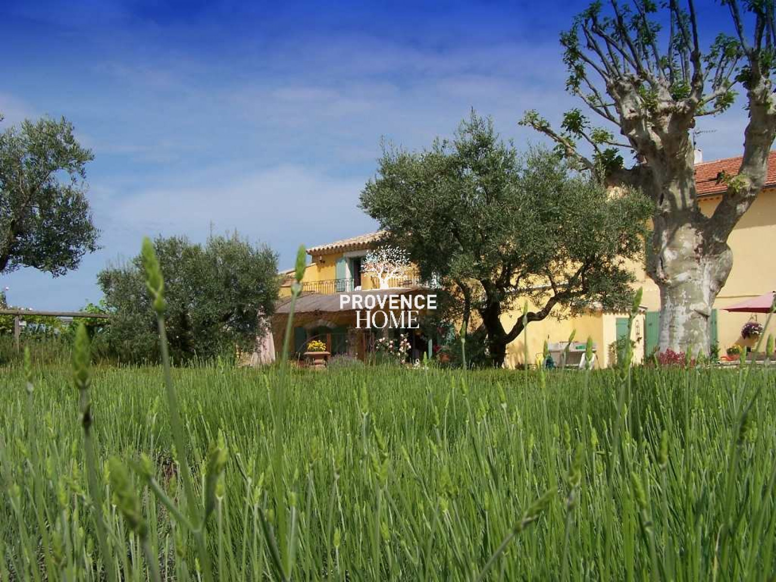 vente Mas Lagnes - Photo 15