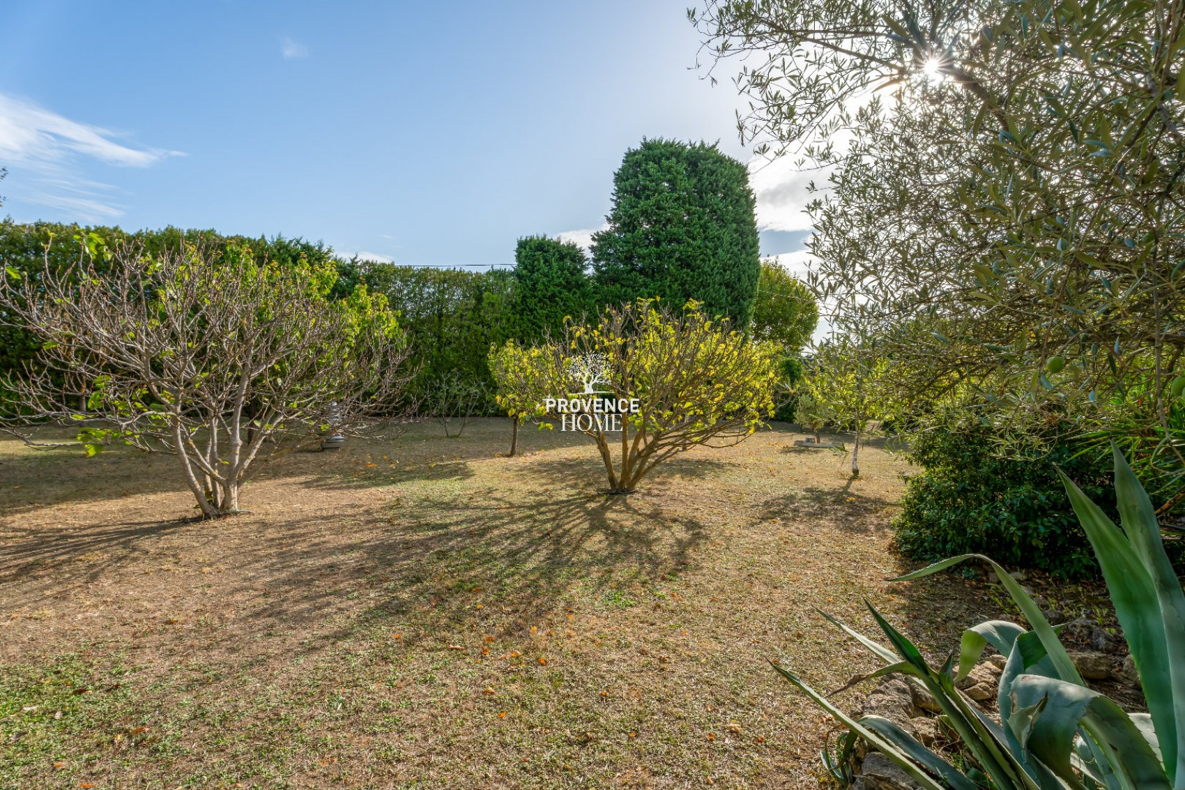 vente Mas Le Thor - Photo 13