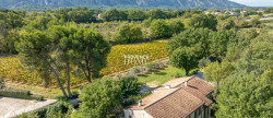 vente Maison individuelle Oppede