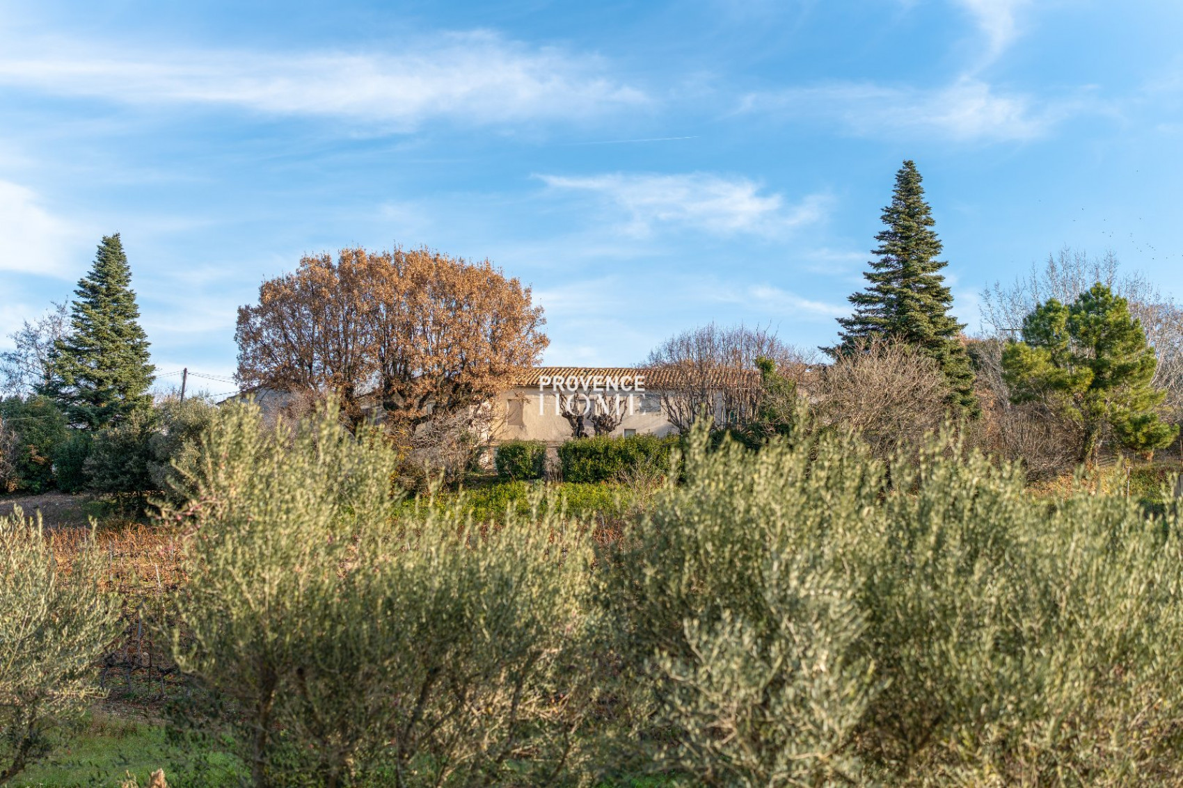 vente Mas Bonnieux - Photo 18