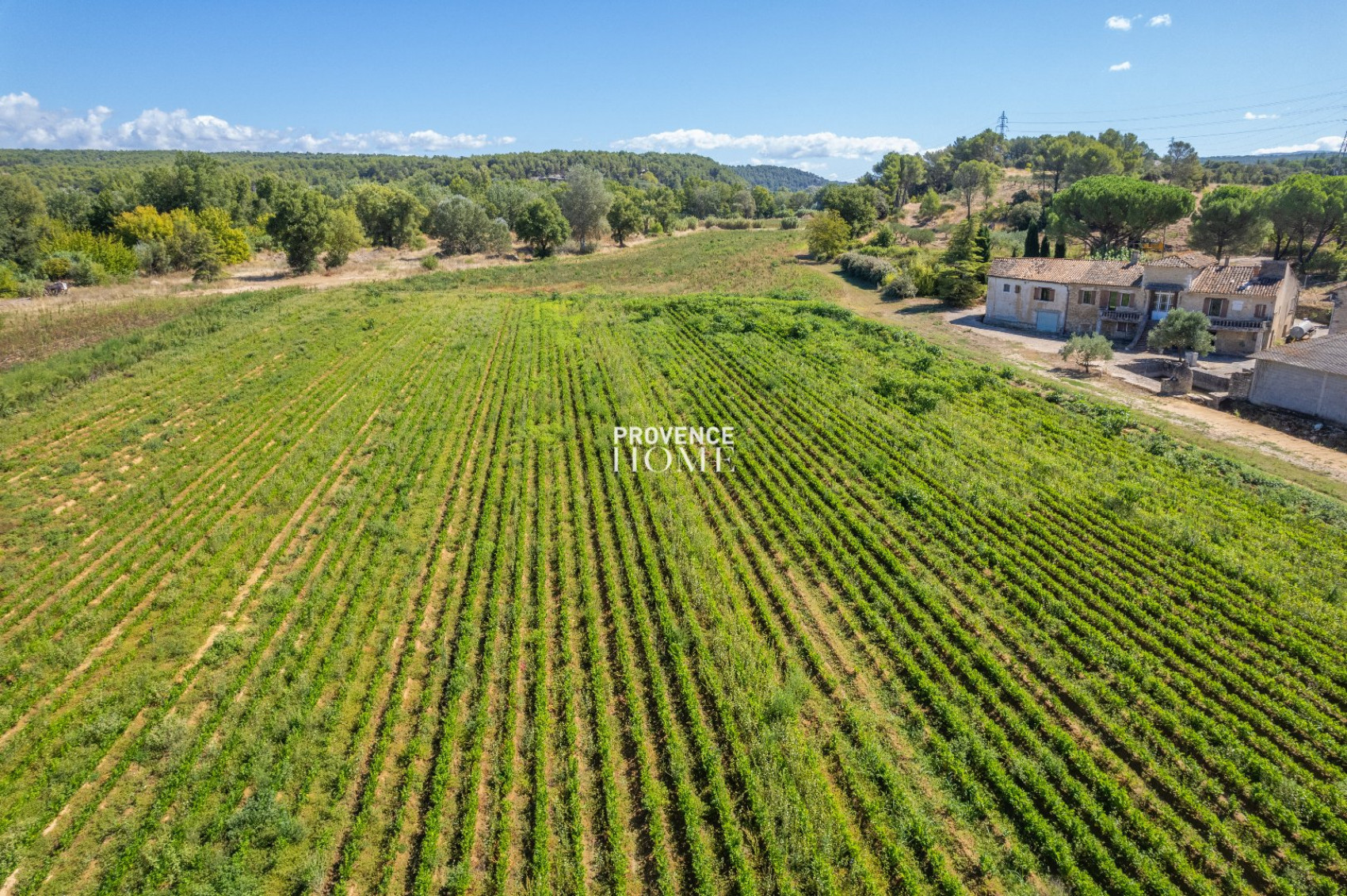 vente Propriété agricole Menerbes - Photo 18