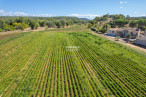 vente Propriété agricole Menerbes