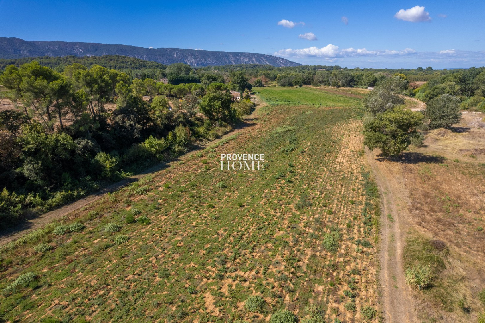 vente Propriété agricole Menerbes - Photo 12
