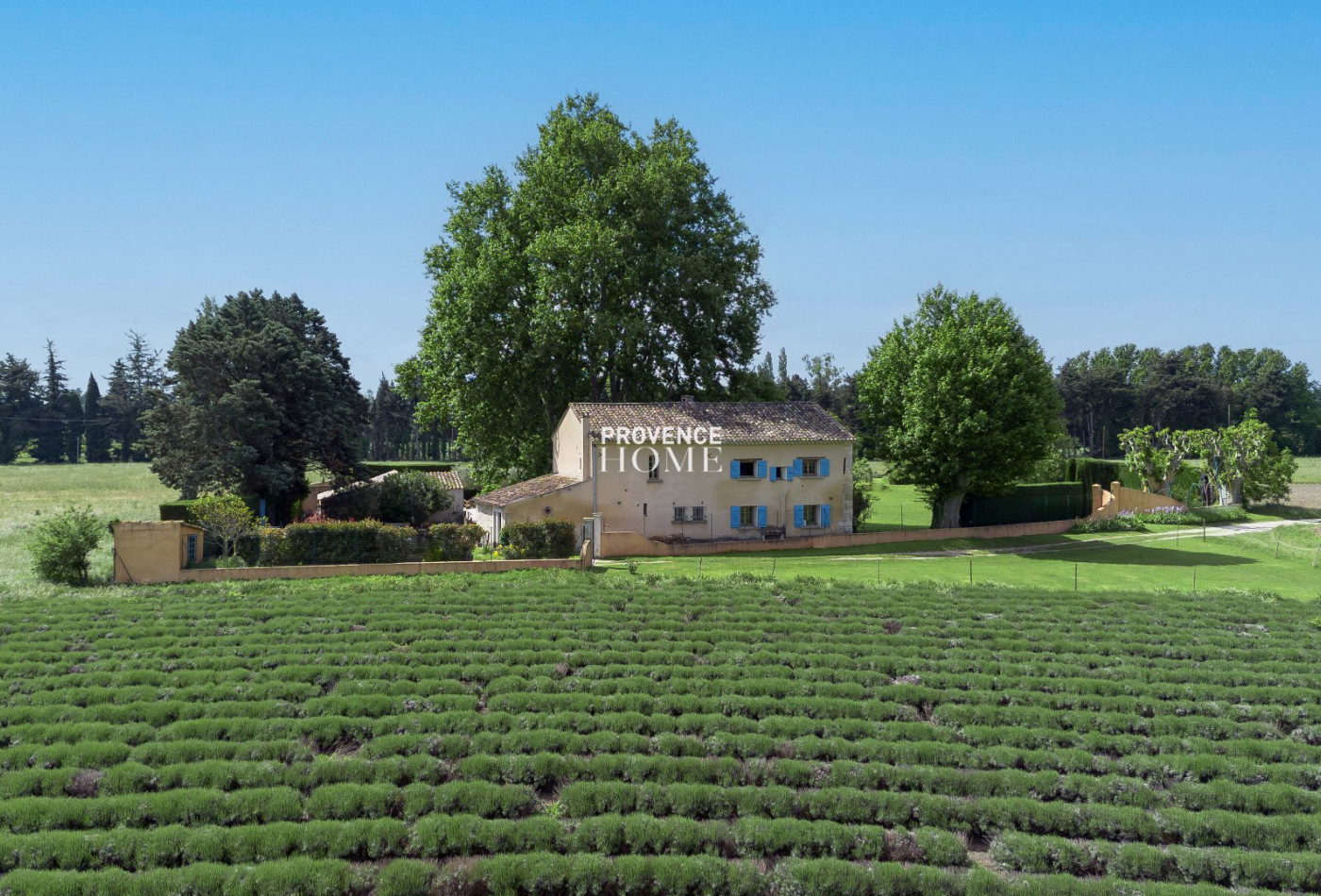 vente Mas Le Thor - Photo 3