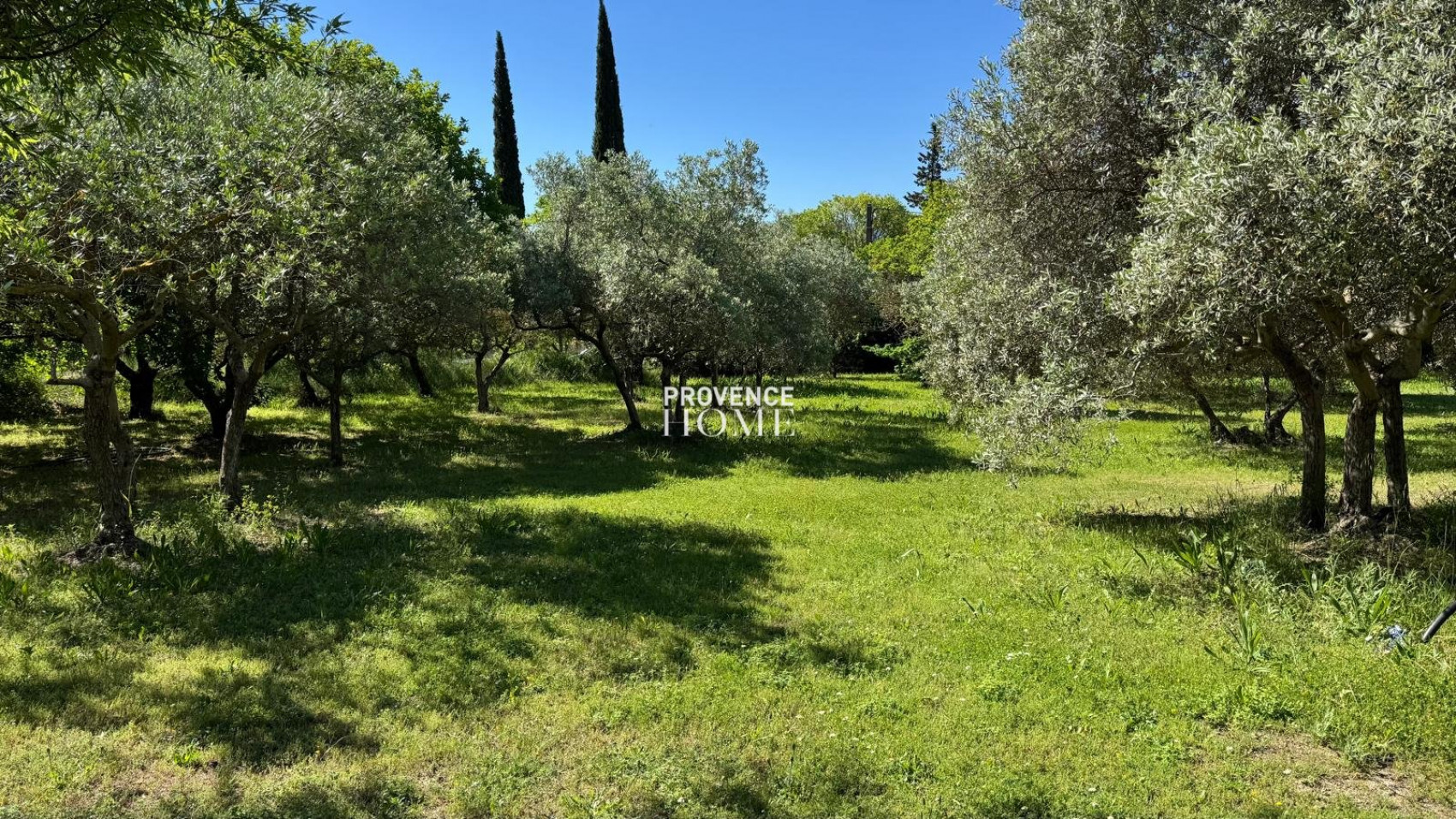 vente Terrain constructible Gordes - Photo 4