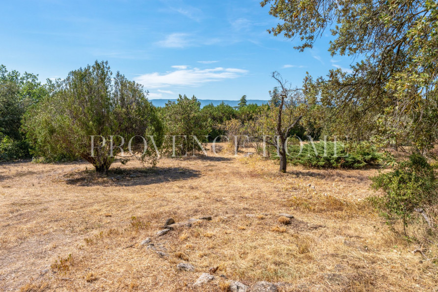 vente Propriété Cabrieres D'avignon - Photo 6