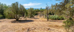 vente Propriété Cabrieres D'avignon