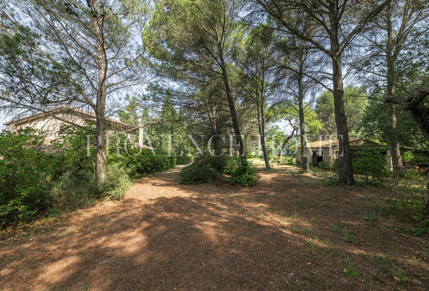 vente Maison L'isle Sur La Sorgue - Photo 3
