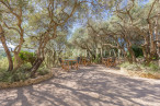 sale Propriété Roussillon