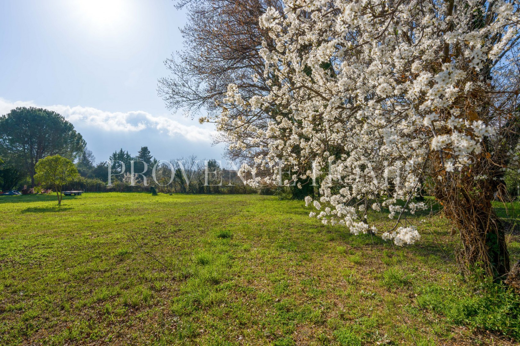 sale Avicole Robion - Photo 18