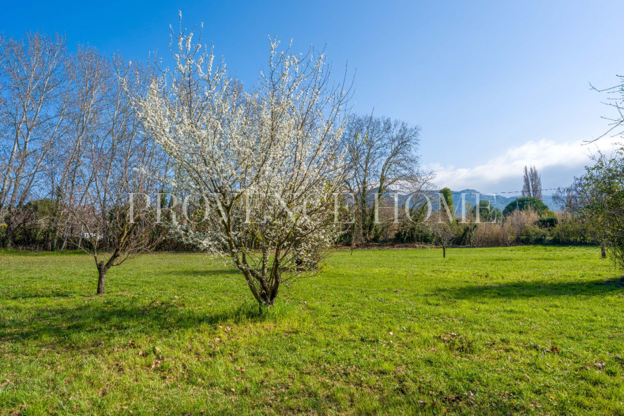 vente Avicole Robion - Photo 4