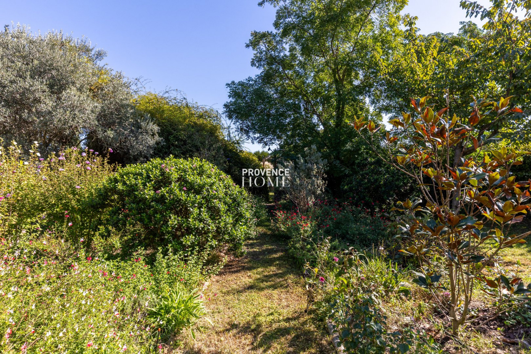 vente Maison Carpentras - Photo 18